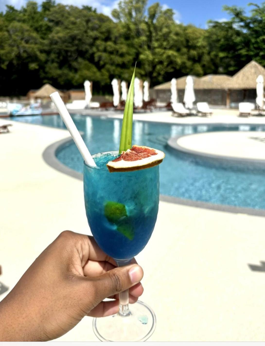 La Ruche De Maia - Blue Dream Beach - Piscine - Jardin - Plage Grand-Bourg  Eksteriør billede