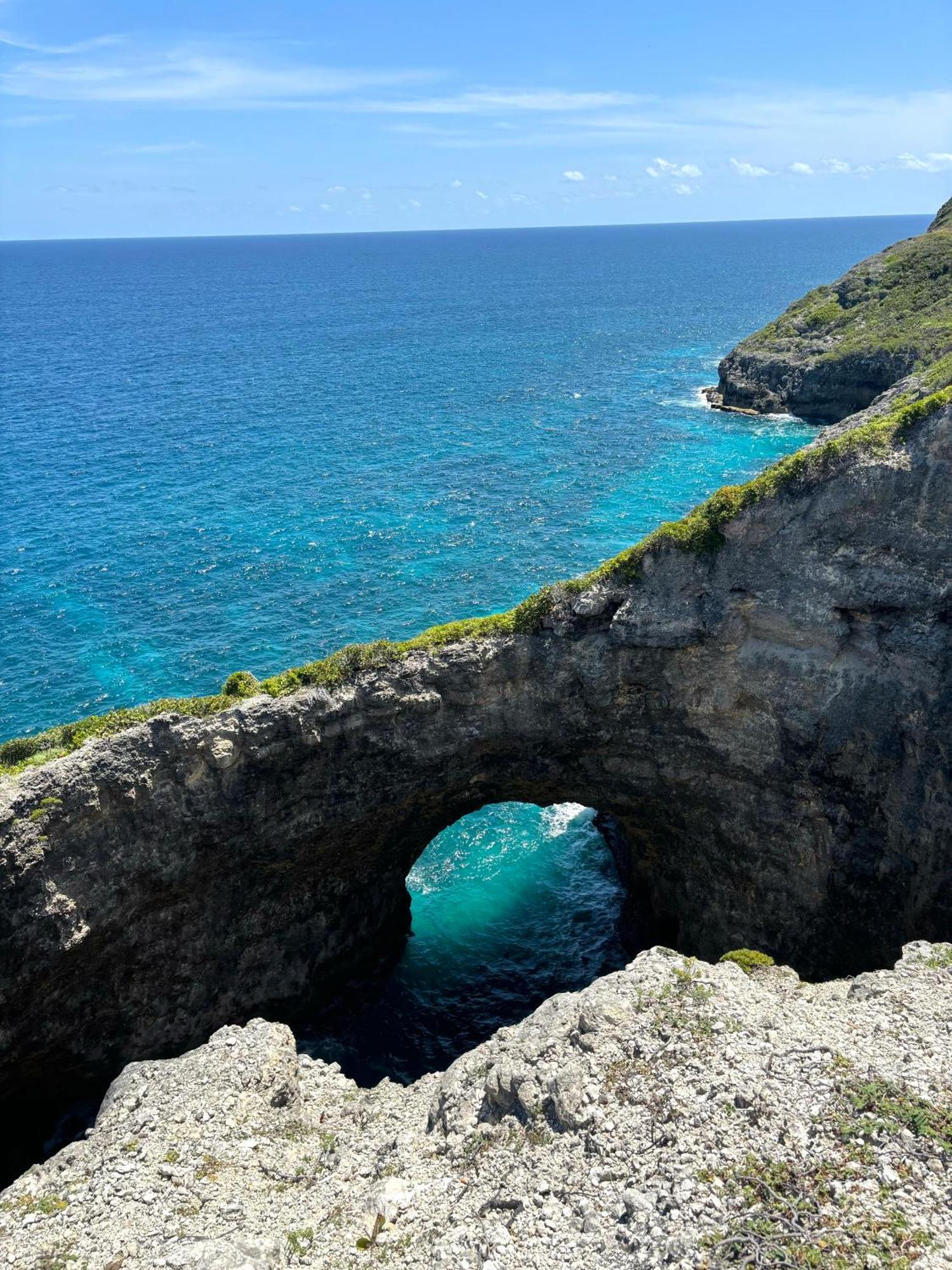 La Ruche De Maia - Blue Dream Beach - Piscine - Jardin - Plage Grand-Bourg  Eksteriør billede