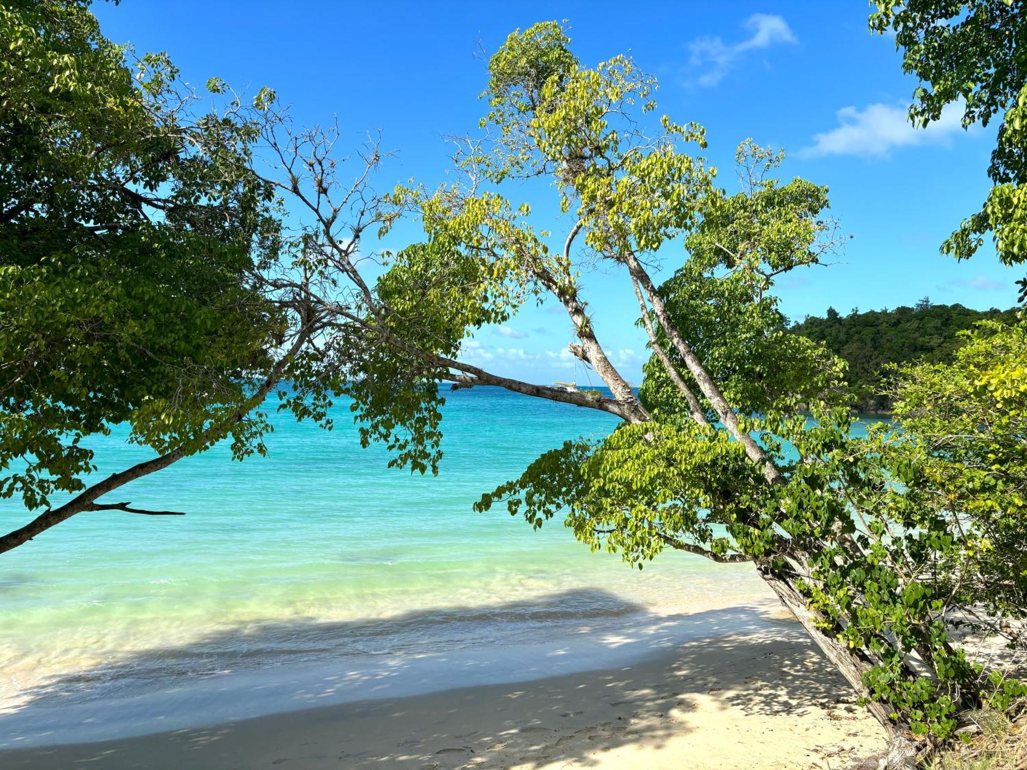 La Ruche De Maia - Blue Dream Beach - Piscine - Jardin - Plage Grand-Bourg  Eksteriør billede